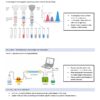 BCH210H Study Notes