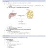 BCH210H Study Notes