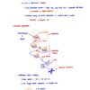 BIO130H Study Notes