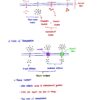 BIO130H Study Notes