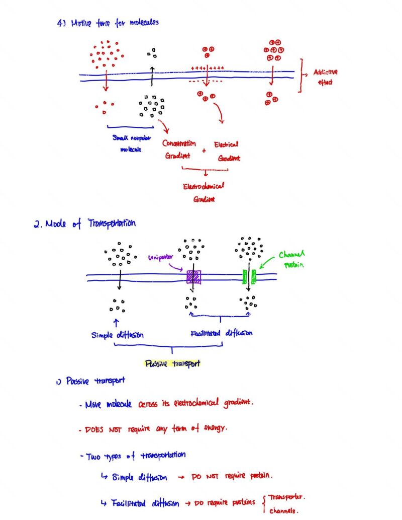 BIO130H Study Notes