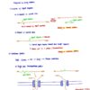 BIO130H Study Notes