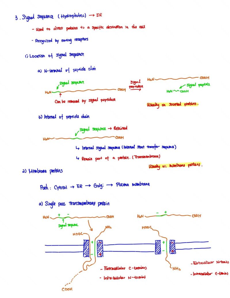BIO130H Study Notes