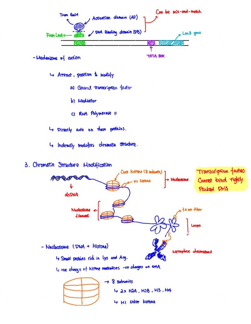 BIO230H Study Notes