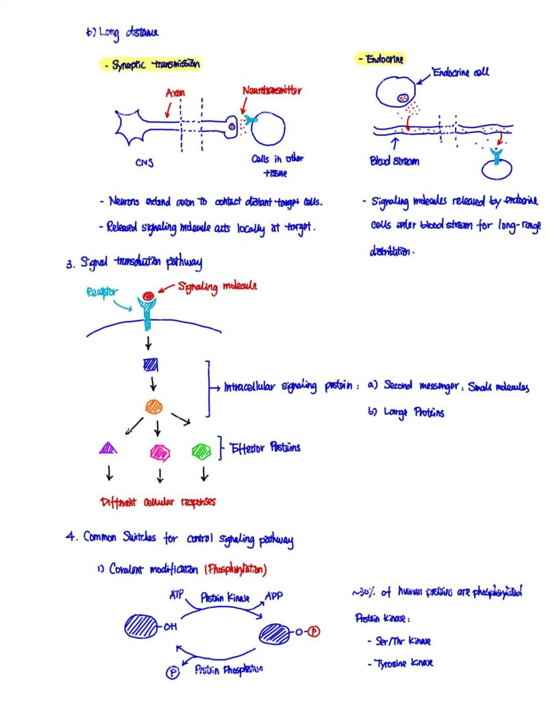 BIO230H Study Notes