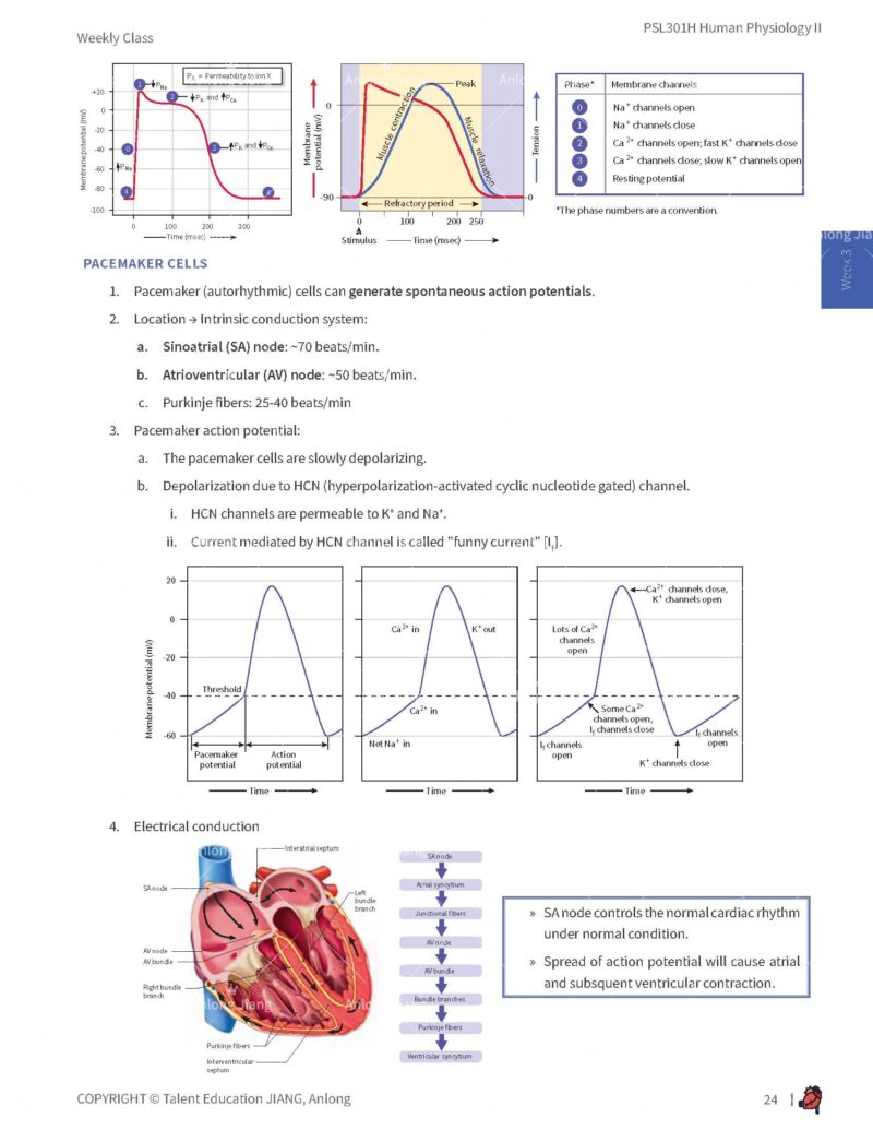 PSL301H Study Notes