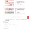 PSL301H Study Notes